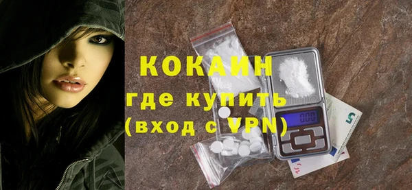 твердый Арсеньев