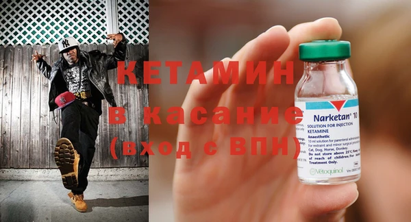 трава Аркадак