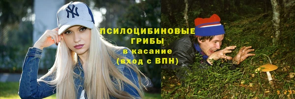 ПСИЛОЦИБИНОВЫЕ ГРИБЫ Армянск