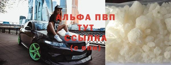 твердый Арсеньев