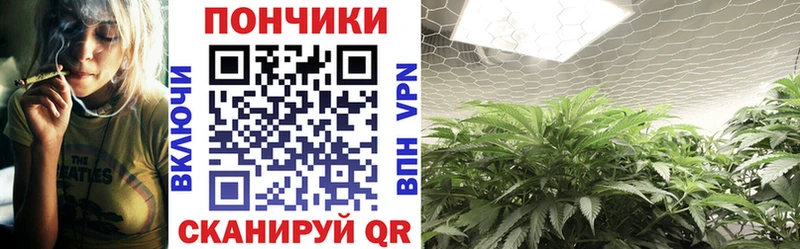 Бошки Шишки конопля Среднеколымск